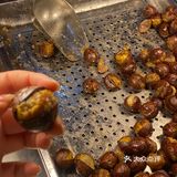 传说媲美台北路顶流的板栗🌰？？？