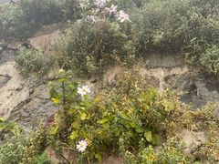 -白草畔自然风景区