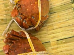 -蟹天蟹地农家菜·阳澄湖大闸蟹(浅水湾店)
