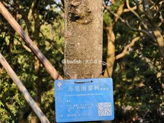 -中山市树木园