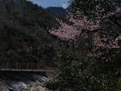 -燕子河大峡谷天坑仙境