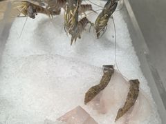 -红鼎豆捞·非遗鲍皇汤火锅(宝丰路店)