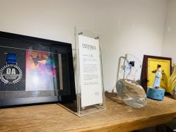 -净漪造型 PURE RIPPLE