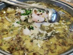 -饭怕鱼(阳光100店)