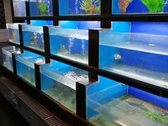 水产区-眉州东坡(团结湖店)