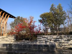 -思念果岭悦温泉