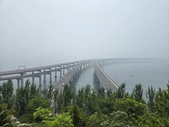 -星海湾跨海大桥