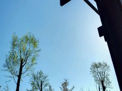 -永定河休闲森林公园