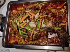 -京城·森鸽排档(双井店)