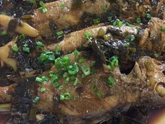 -金地利海鲜酒楼(清凉门店)