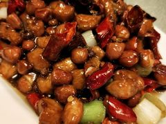 -陈麻婆豆腐总店