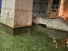 -爱江山温泉(凌奥店)