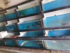 水产区-蓝国饭店