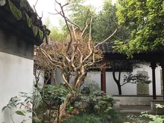 -秋霞圃