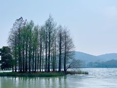 -蠡湖大桥公园