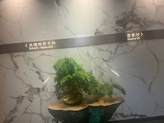 -炎橘·板前料理 Omakase
