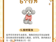 -瑞派申生动物医院·24H夜诊·国际动物医疗中心·骨外科(吴中路店)