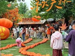 -HERRE·FARM 赫尔露营农场·团建聚会包场