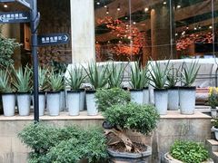 -天怡·鱼工厂(梅溪湖店)