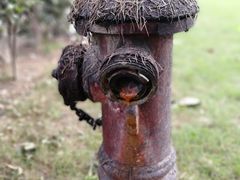 -四川大学(华西校区)