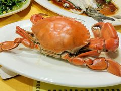 -老字号蛇口德记烧腊饭店·海鲜加工