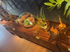 -300杯·和牛烧肉清酒专门店(廊里店)