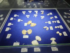 -贝壳王国博物馆