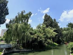 -皇家御河游(紫御湾码头)
