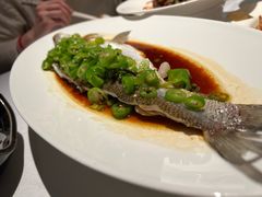-桂满陇·海市蜃楼·黑金(国金店)