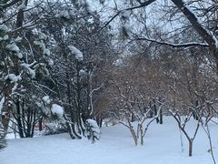 -元大都城垣遗址公园