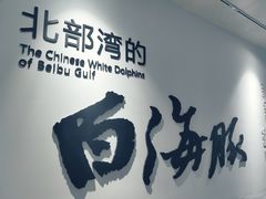-三娘湾旅游风景区