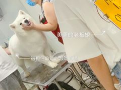 -有宠宠物(YOUCOIN·未来店)