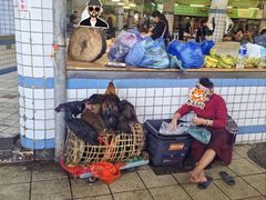 -西双版纳集贸市场