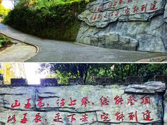 -广州市帽峰山景区
