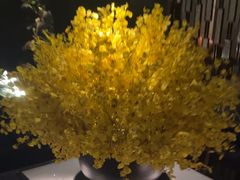 -泰之源足浴会所(玉环店)