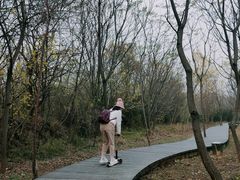 -盘龙城国家考古遗址公园