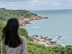 -广东惠东海龟国家级自然保护区