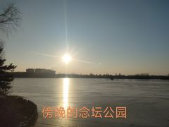-大兴滨河森林公园