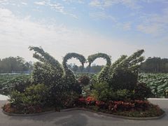 -武汉动物园