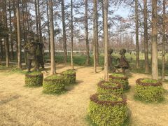 -上海长兴岛郊野公园