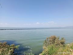 -呈贡滇池生态湿地公园