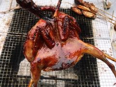 -李宁体育园