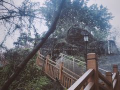 景点-大渡口区义渡公园