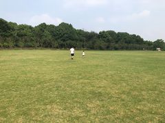 -昆山城市生态森林公园