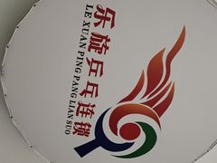 -乐旋乒乓球(深圳南油店)