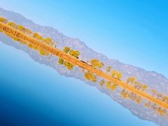 -野鸭湖国家湿地公园