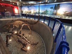 -国家自然博物馆