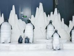 -宁波冰雪大世界(北仑区)