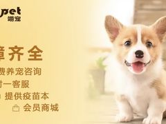 -翊宠yipet猫狗购宠庄园犬舍•猫舍
