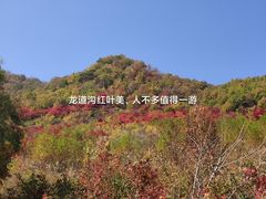 -龙道沟景区